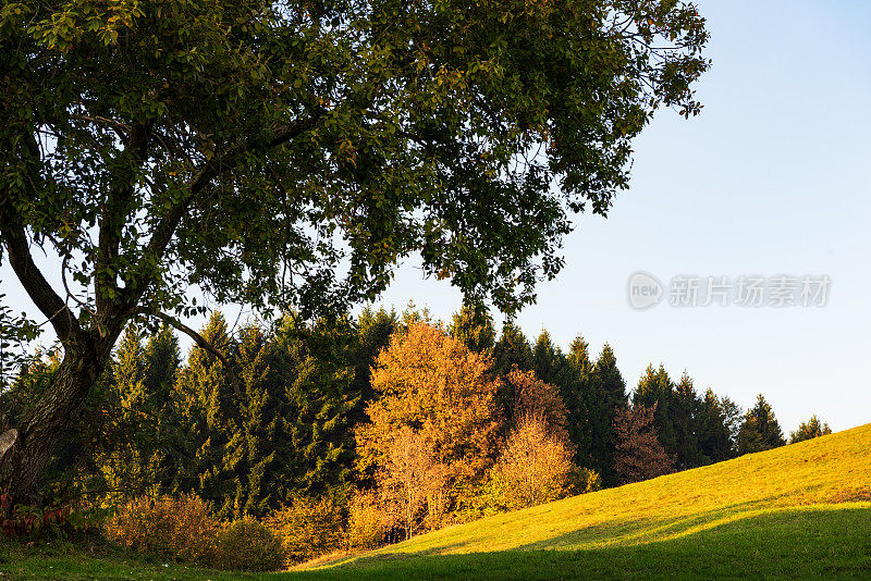 蒙特Grappa-Veneto-Treviso-Italy 102